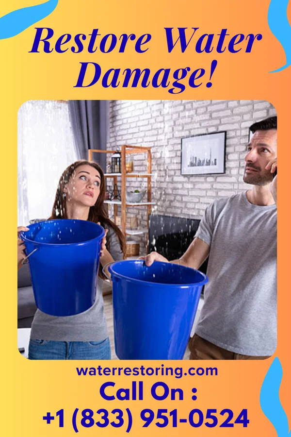 water restoration Prestige Restoration Solutions Authority Pinckneyville