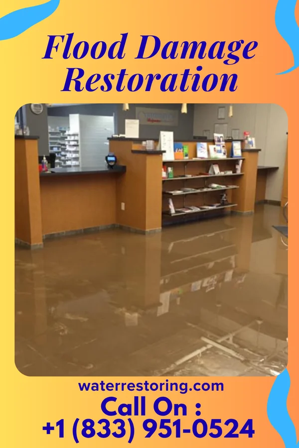 Flood Damage Restoration in Pinckneyville, IL