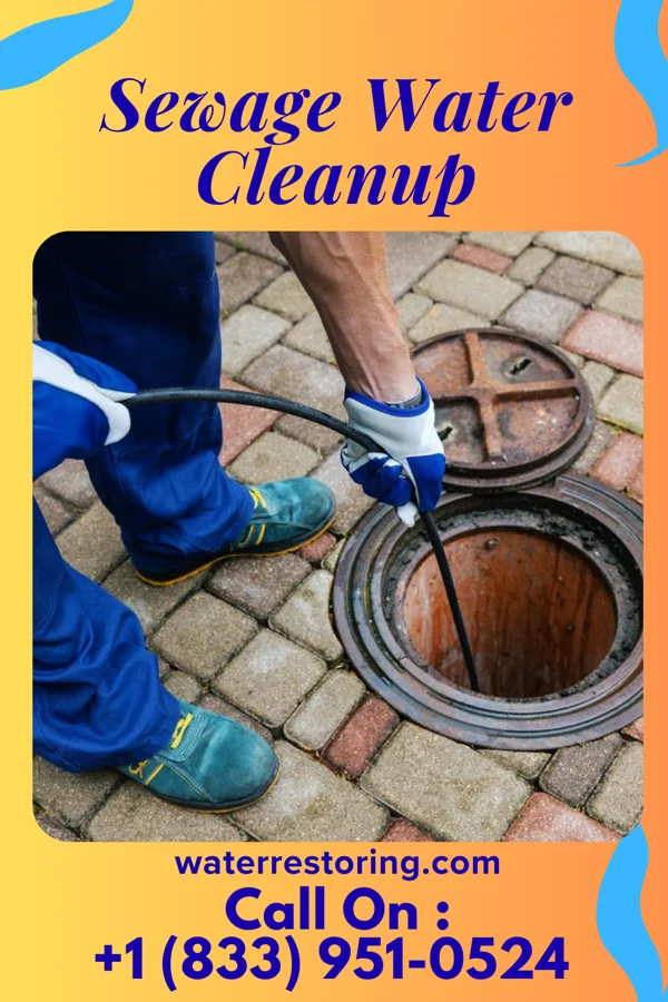 Sewage Water Cleanup in Pinckneyville, IL